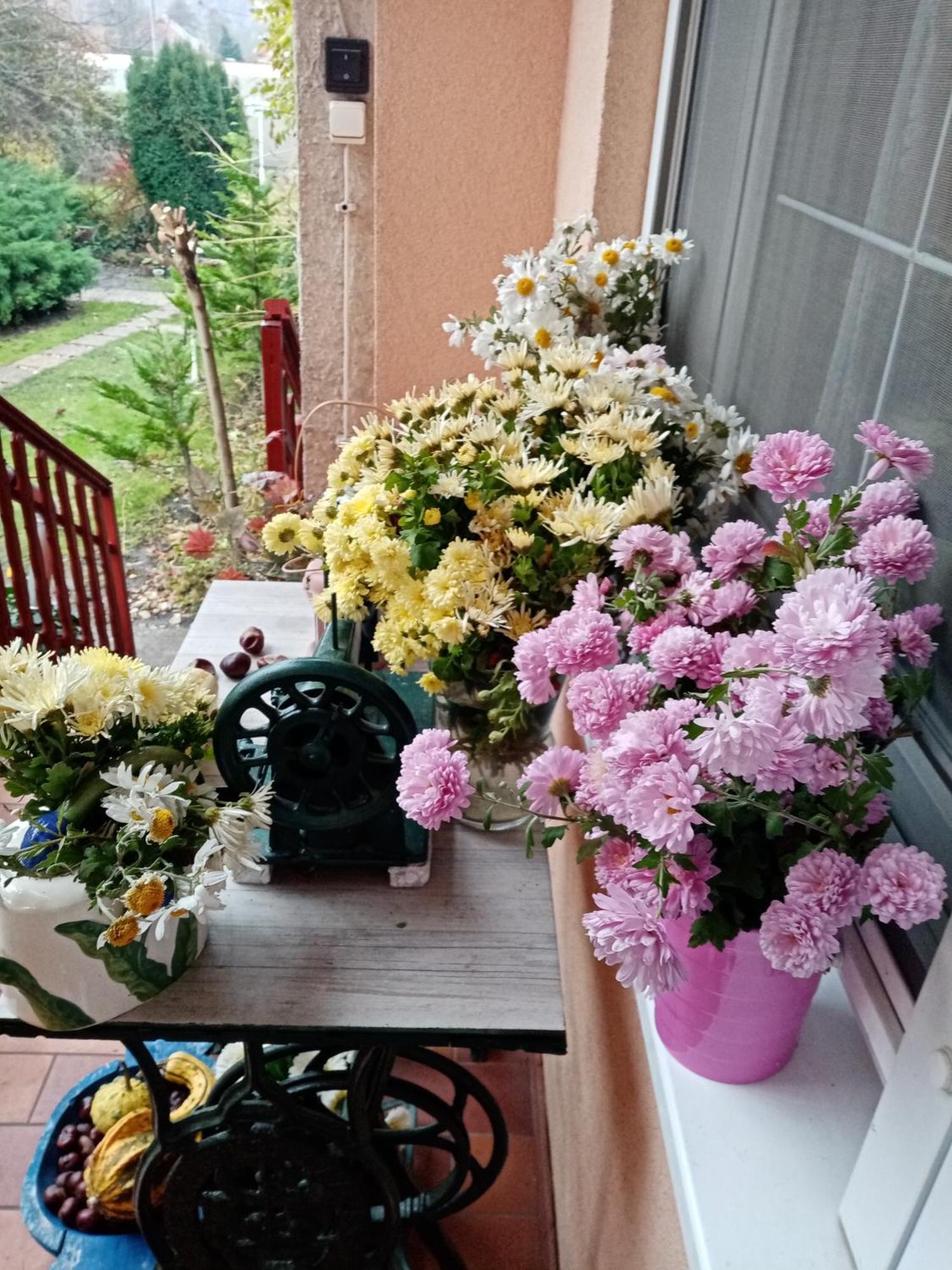 Margaret Apartman เอ็กแกร์ซาโลก ภายนอก รูปภาพ